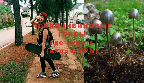 спиды Абдулино