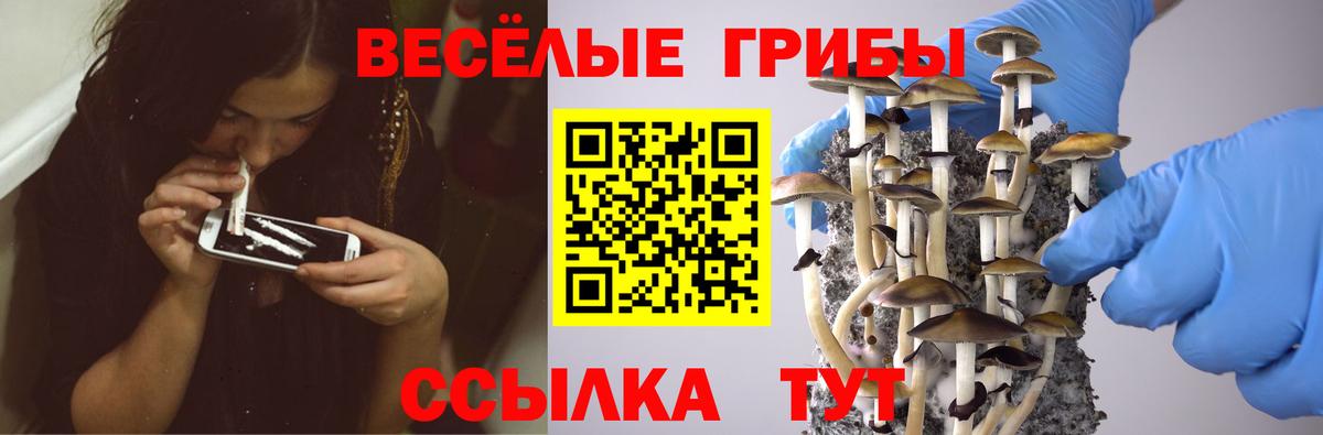 Новоалтайск  Галлюциногенные грибы MAGIC MUSHROOMS  цены   Вход с VPN 